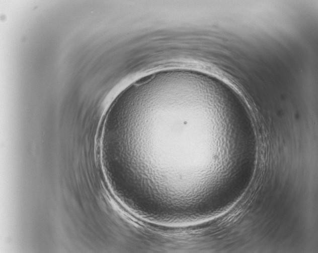 X0000056001535200508261737