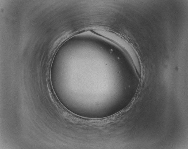 X0000056000001200509021716