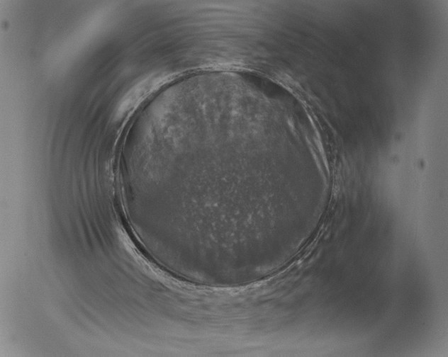 X0000056000002200509021716