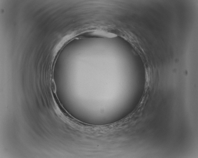 X0000056000003200509021716