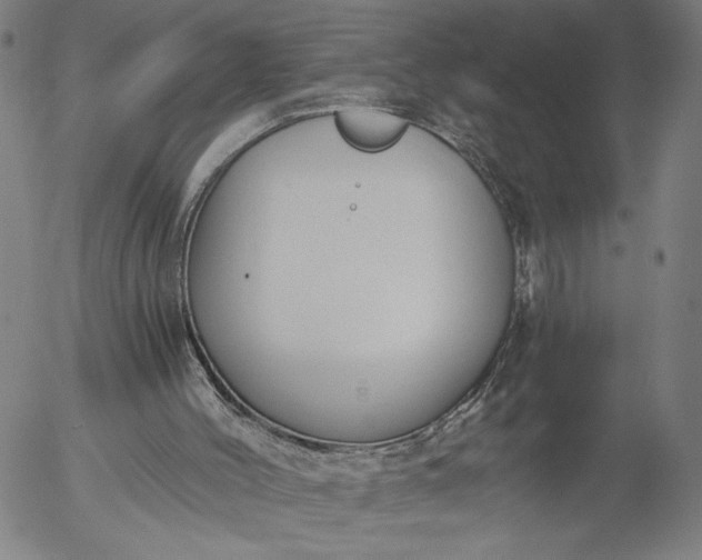 X0000056000004200509021716