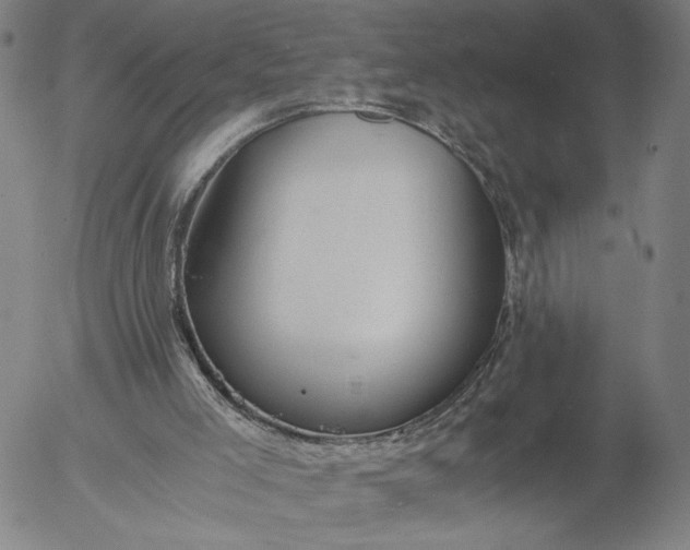 X0000056000005200509021716