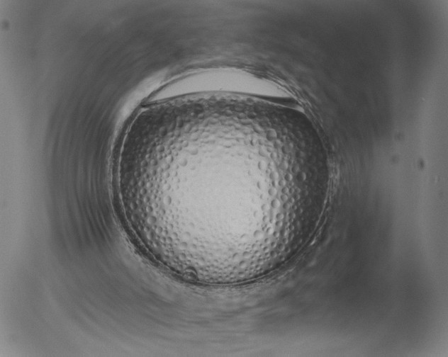 X0000056000006200509021716