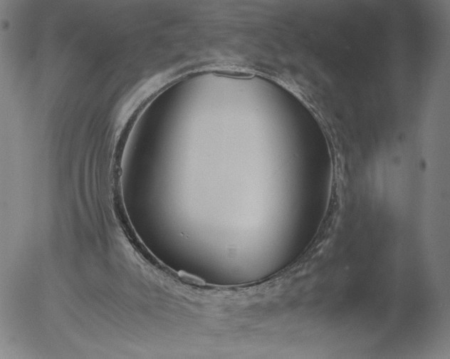 X0000056000007200509021716