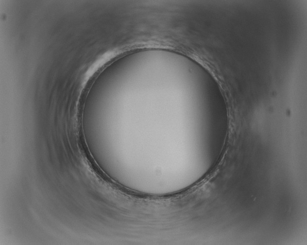 X0000056000008200509021716