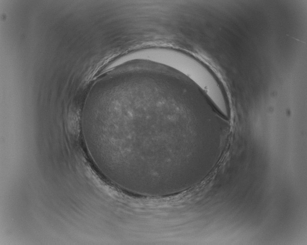 X0000056000009200509021716