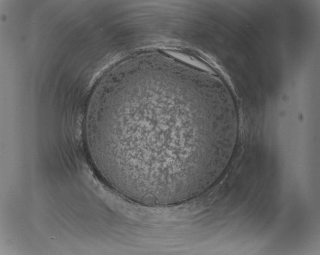 X0000056000010200509021716