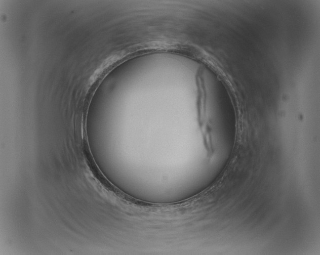 X0000056000011200509021716