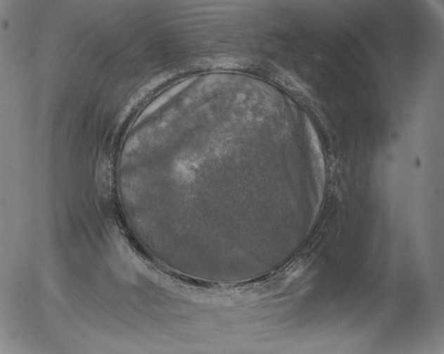 X0000056000012200509021716