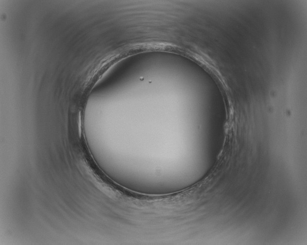 X0000056000013200509021716