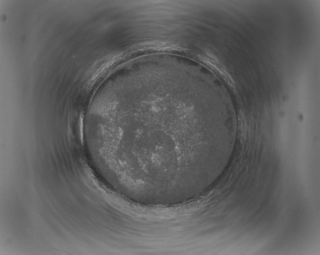 X0000056000014200509021716