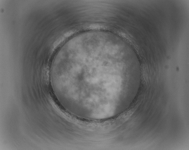 X0000056000016200509021716