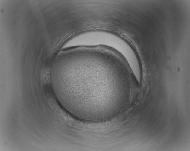 X0000056000017200509021716