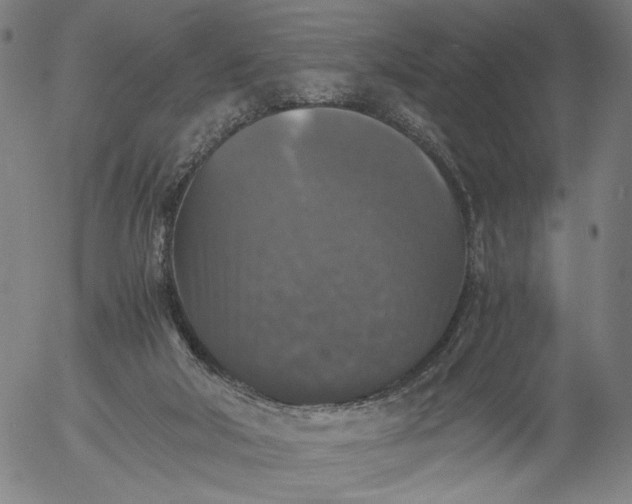 X0000056000018200509021716