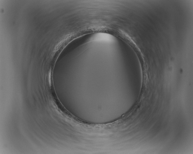 X0000056000019200509021716