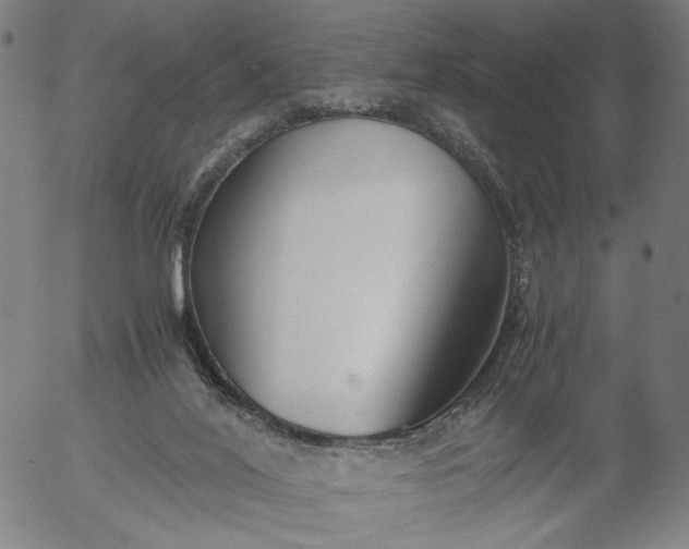 X0000056000020200509021716