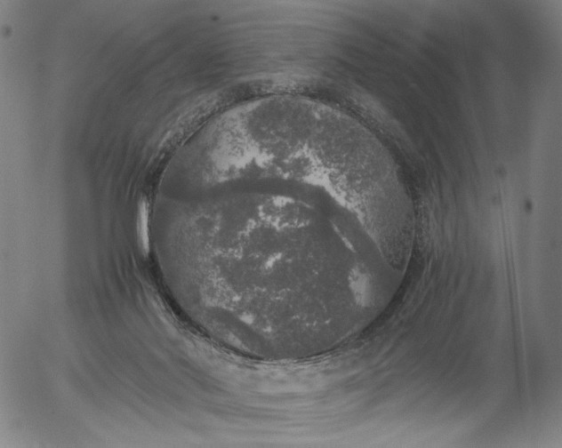 X0000056000022200509021716