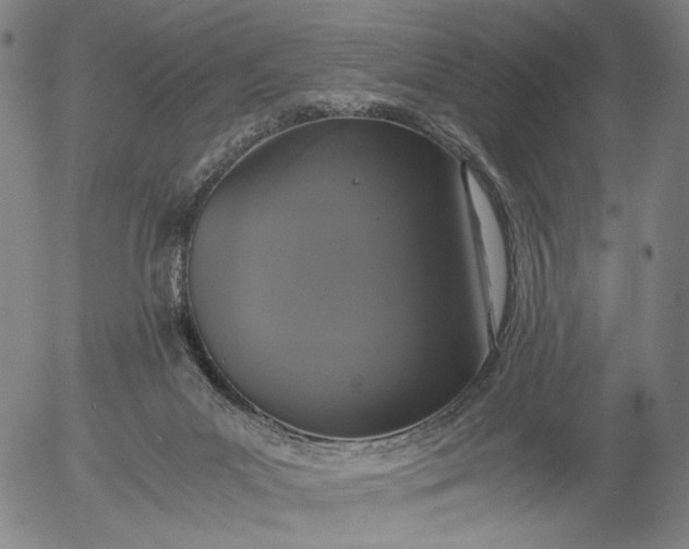 X0000056000023200509021716