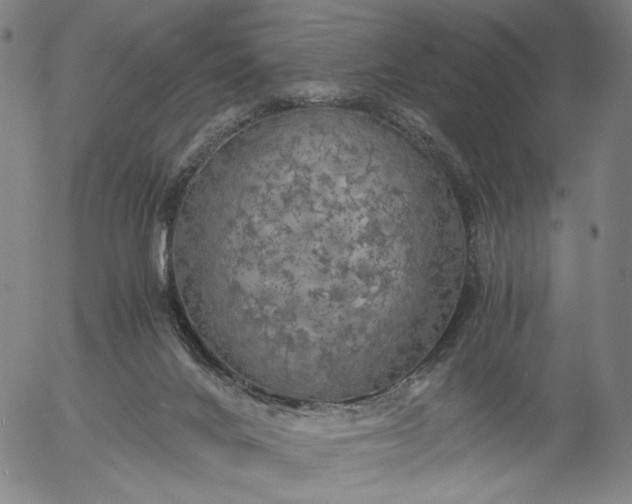 X0000056000024200509021716