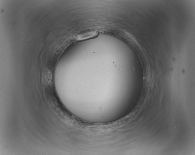 X0000056000025200509021716