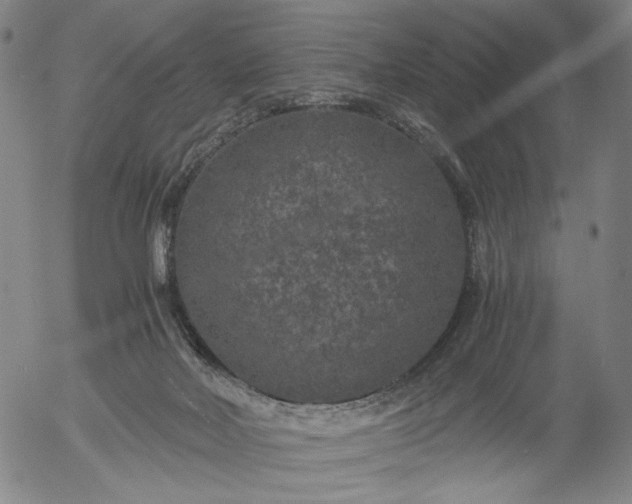 X0000056000026200509021716