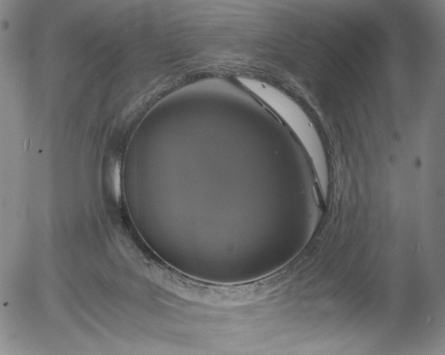 X0000056000027200509021716