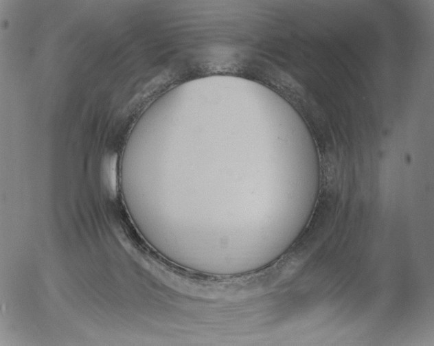 X0000056000028200509021715