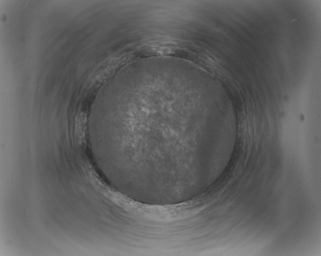 X0000056000030200509021715