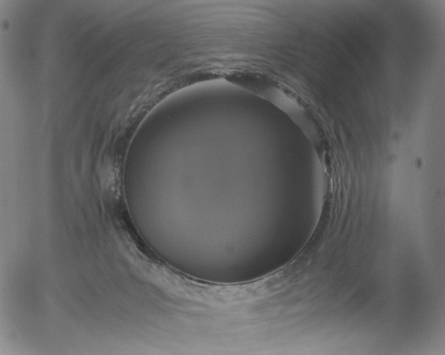 X0000056000031200509021715