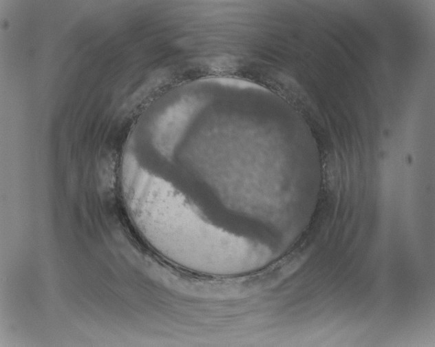 X0000056000032200509021715