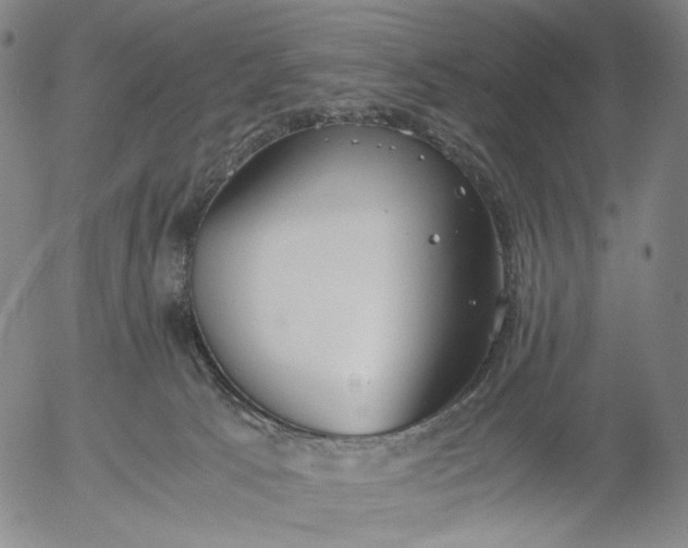 X0000056000033200509021715