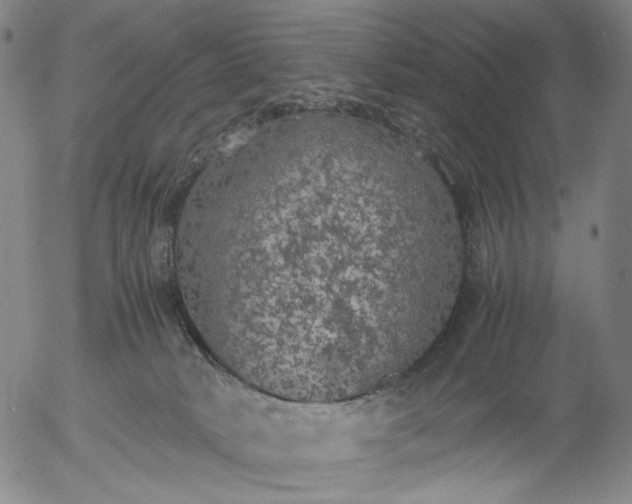 X0000056000034200509021715