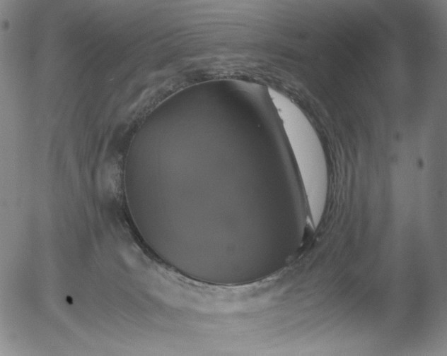 X0000056000035200509021715