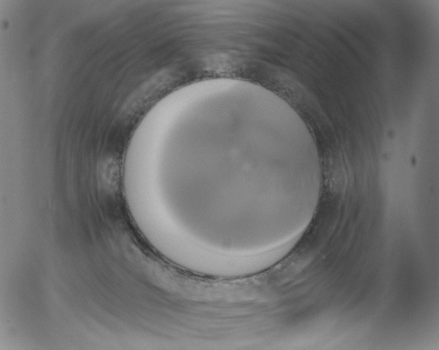 X0000056000036200509021715