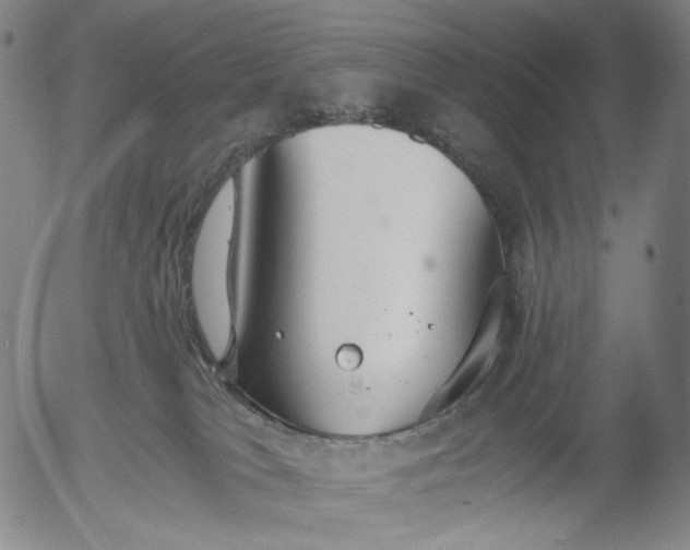 X0000056000037200509021715