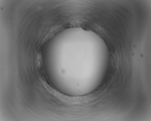 X0000056000038200509021715