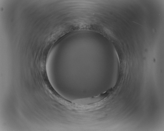 X0000056000039200509021715