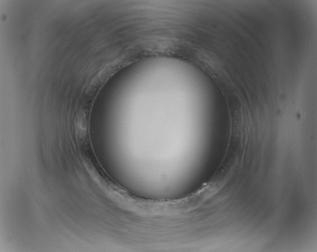 X0000056000040200509021715