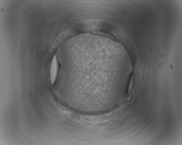 X0000056000041200509021715