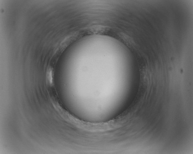 X0000056000042200509021715