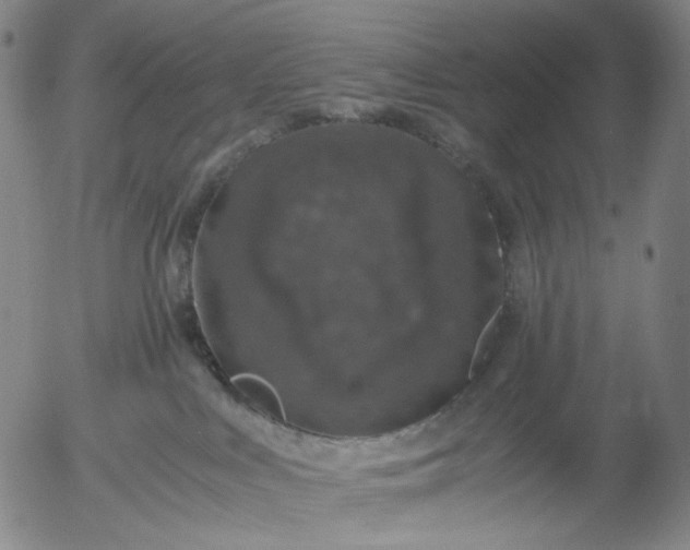 X0000056000043200509021715