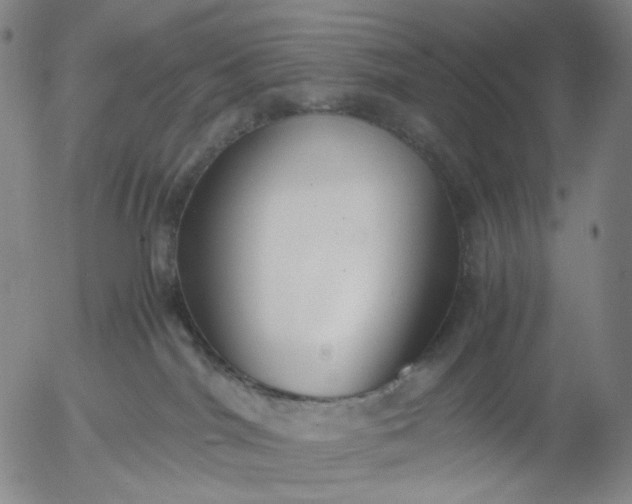 X0000056000044200509021715