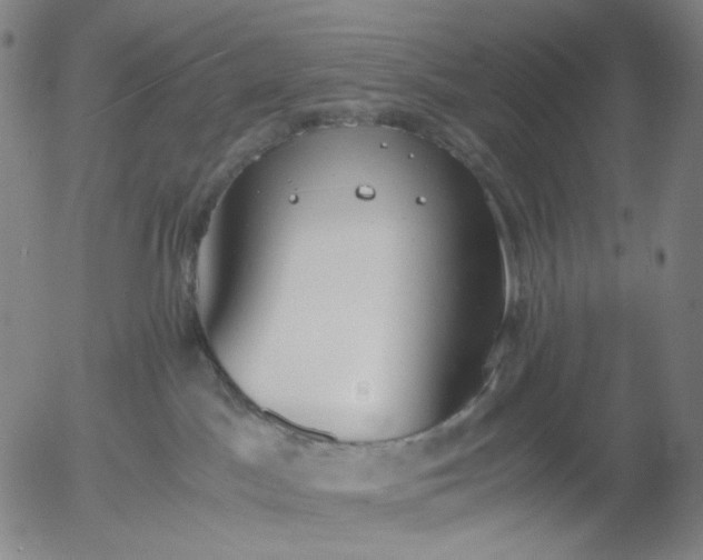 X0000056000045200509021715