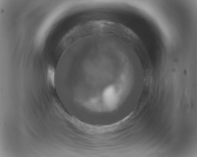 X0000056000047200509021715