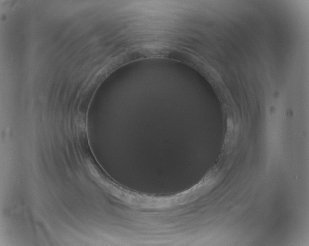 X0000056000048200509021715