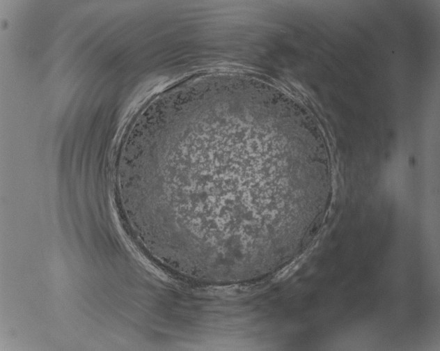 X0000056000049200509021714