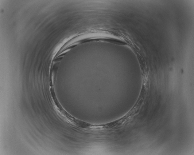 X0000056000052200509021714