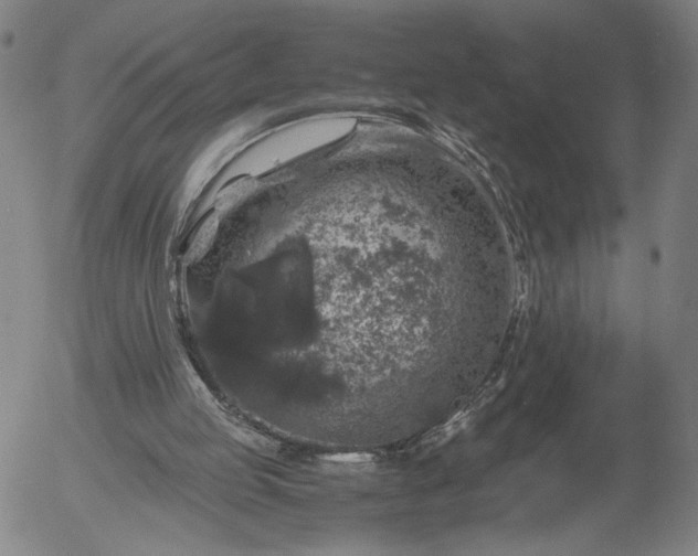 X0000056000053200509021714