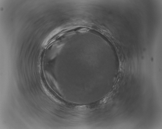 X0000056000054200509021714