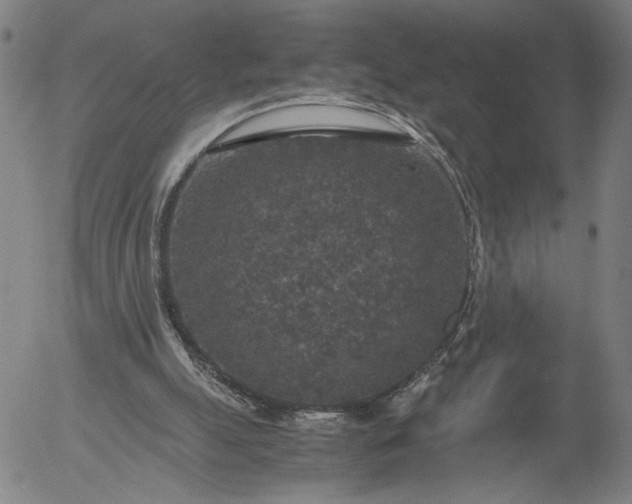 X0000056000055200509021714